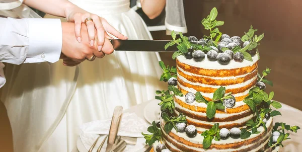 Casamento Casal Está Cortando Bolo Rústico Moderno Sobremesa Esponja Aberta — Fotografia de Stock