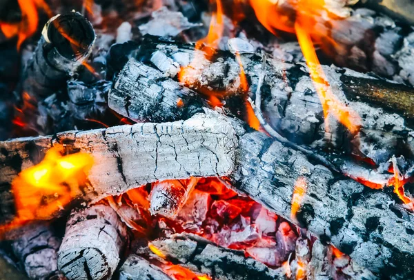 Огонь Горит Дерева Настоящее Пламя Место Барбекю Экологическое Природное Топливо — стоковое фото