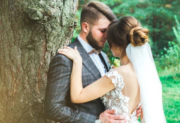 Schönes Hochzeitspaar Wald Die Braut Mit Tüll Schleier Und Offenem — Stockfoto