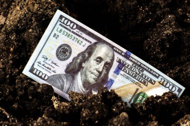 Toprakta kayıp Amerikan doları. ABD 'de ekonomik kriz. Para birimi devalüasyonu ve enflasyon. Coronavirüs krizi.