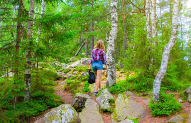 Dağlardaki hippi kız. Seyahat tutkusu konsepti. Hasır şapkalı şık bir kadın ve ormanda kareli gömlek. Yazın seyahat ve yürüyüş. Gizemli ağaç. Güzel doğa..