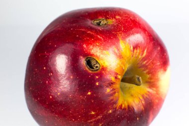 Beyaz arka planda kırmızı solucanlı şımarık elma. Kapat..