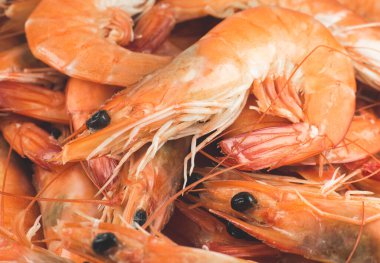 Lezzetli karides ya da karides arka planı.