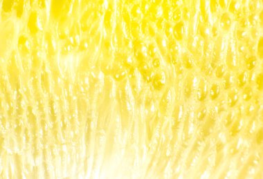 Beyaz arka planda greyfurt dokusu var. Citrus yakın çekim fotoğrafı. Sağlıklı bir yaşam tarzı fotoğrafı. Güzel duvar kağıdı. Vejetaryen ve vejetaryen kavramı. Doğadan gelen vitaminler.