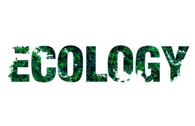 Beyaz arka planda izole edilmiş yapraklardan ekoloji kelimesi. Çevre dostu kavram.