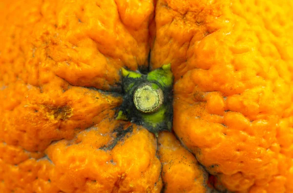 オレンジピールの質感の写真を閉じます オレンジ熟した果実の背景 マクロビュー — ストック写真