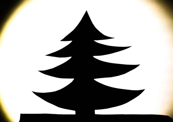 Тень Елового Дерева Центре Внимания Ручной Образ Природы Идея Новогодней — стоковое фото