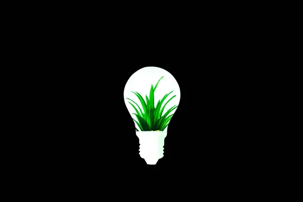 Home Plant Lamp Bulb Isolated Black Background New Idea Concept — Stock Photo, Image