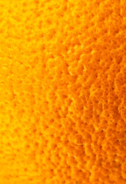 오렌지 사진을 클로즈업합니다 열매가 오렌지 매크로 — 스톡 사진