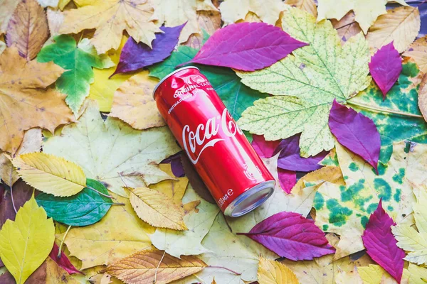 Ривне Украина Ноября 2019 Кока Кола Лежать Настоящих Осенних Листьях — стоковое фото