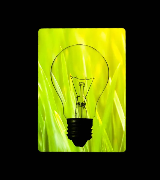 Lamp Bulb Grass Black Background New Idea Concept Ecological Electricity — Stock Photo, Image