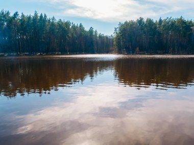 Ormandaki güzel bahar gölü. Suyun üzerinde güneş ışığı yansıması. Doğa ve seyahat kavramı.
