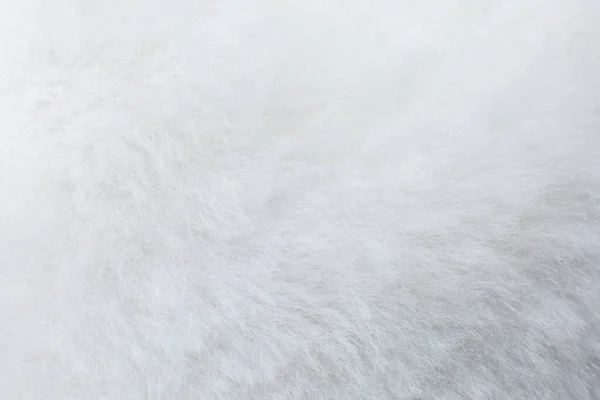 Witte Katoenen Handdoek Carpe — Stockfoto