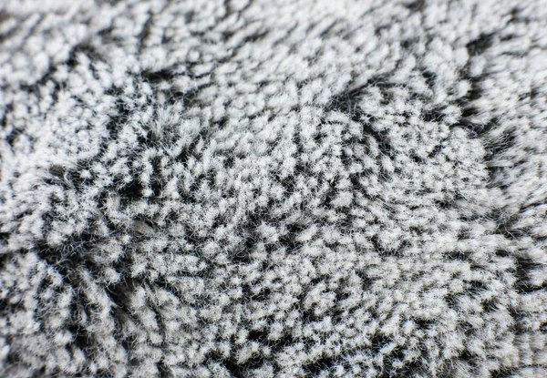 Asciugamano Carpa Cotone Grigio — Foto Stock
