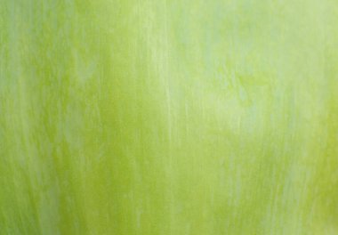 Yeşil yaprak yaklaş. Taze yaprak dokusu arka planı. Doğal ekolojik duvar kağıdı. Vejetaryen yemeği. Sebze ve vitamin ürünleri. Makro fotoğraf.