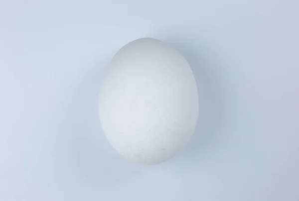 Białe Jajko Białym Tle Odbiór Minimalizm Oryginalne Twórcze Zdjęcie Piękna — Zdjęcie stockowe