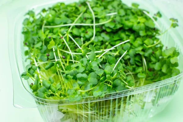 Microgreen Ontkiemen Broccoli Spruiten Natuurlijke Eco Voeding Met Vitaminen Thuis — Stockfoto