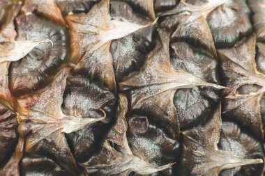 Ananas kabuğu dokusu. Egzotik meyveler yakın fotoğraf, makro manzara. Güzel duvar kağıdı.