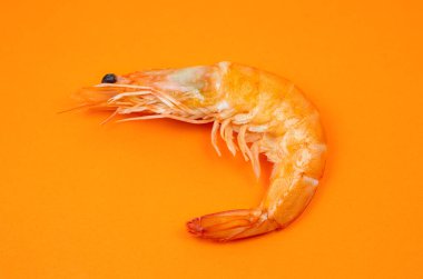 Turuncu arka planda lezzetli taze karides ya da karides