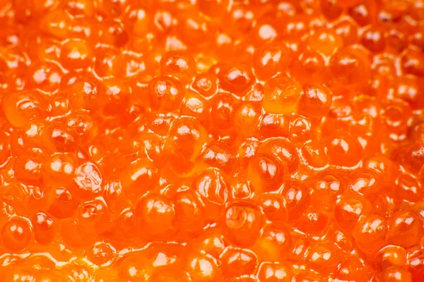 Red Salmon Caviar Background Luxury Delicacy Seafood Close — Stock Photo, Image