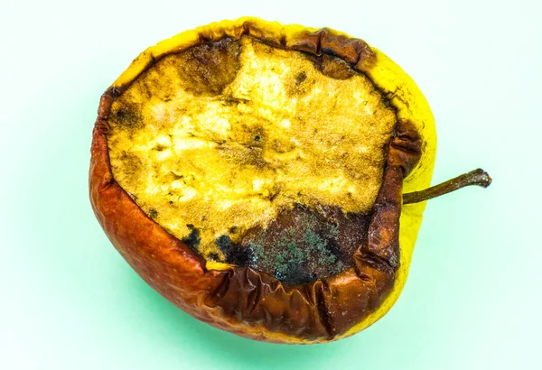 Pommes Pourries Moisies Mauvais État Conservation Gros Plan Nourriture Gâtée — Photo
