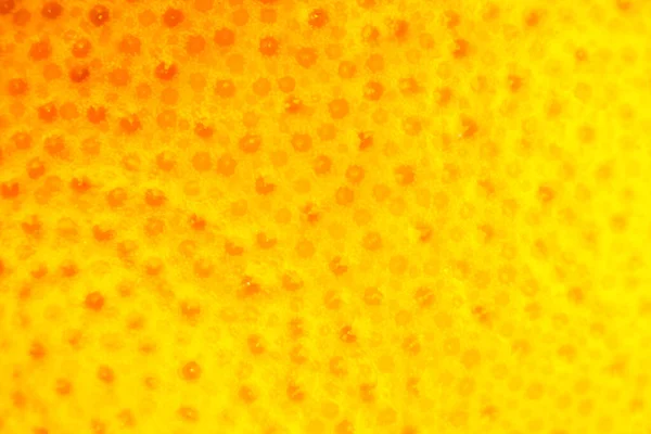 Közelkép Grapefruit Héj Textúráról Egzotikus Érett Gyümölcs Háttér Makró Nézet — Stock Fotó