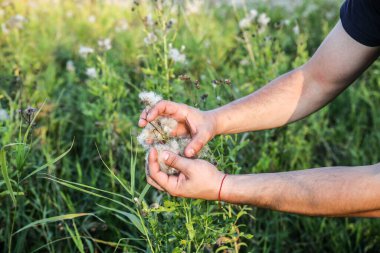 Afro-Amerikan adam tarlada pamuk topluyor. Elle tutulur bitki. Moda endüstrisi tüketimi. Düşük ücretli köle işi. Çevre için zararlı eğilimler.