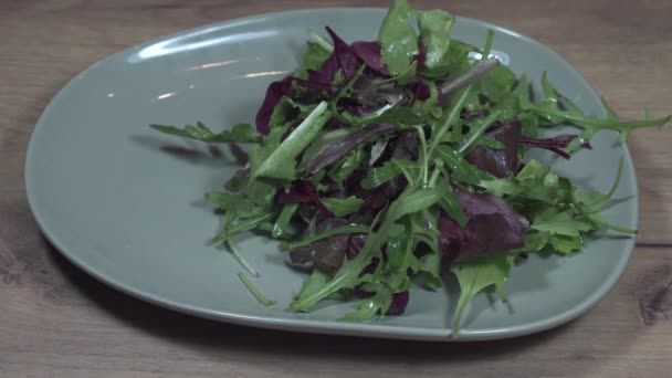 Kobieta Kładąca Sałatkę Talerzu Świeże Smaczne Danie Zieloną Salatą Rukolą — Wideo stockowe