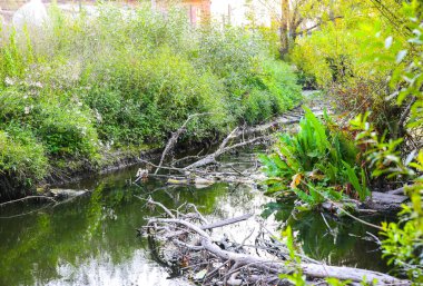 Kirli nehir açık havada. Suda plastik şişe var. Doğaya zararlı bir insan. Küresel sıcaklık.