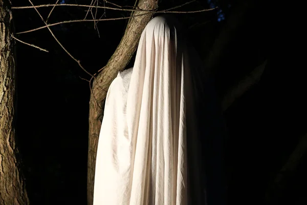Ghost Natten Utomhus Halloween Kostym Idé Skräckfilmskoncept Läskiga Saker Skogen — Stockfoto