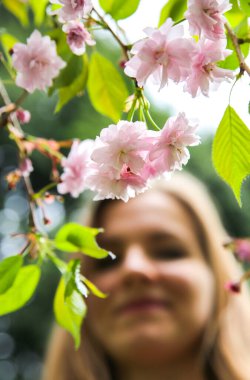 Çiçek açan ağacın yanında güzel bir kız. Açık havada çiçek sakura. Bahar havası. Kadın dinleniyor..
