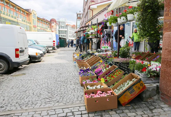 Uzhorod Ukraine April 2019 Blumenmarkt Uzhgorod Frühling Der Ukraine — Stockfoto