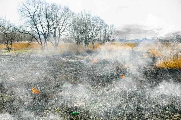 Die Natur Steht Flammen Verbrannte Wälder Leeres Feld Ökologische Katastrophe — Stockfoto