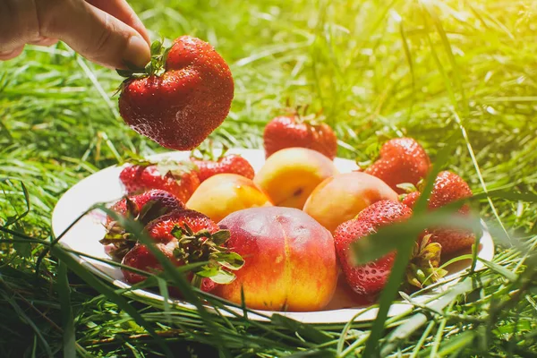 Hombre Tomar Fresas Melocotones Plato Hierba Verde Deliciosas Frescas Frutas — Foto de Stock