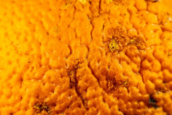 Photo Rapprochée Texture Peau Orange Oranges Fruits Mûrs Fond Macro — Photo