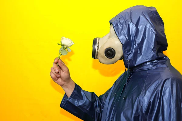 Homem Máscara Gás Segurando Flor Isolada Fundo Amarelo Influência Radiação — Fotografia de Stock