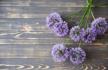 Ahşap arka planda güzel çiçekler. Allium buketi. Taç yapraklarıyla mükemmel bir düzlük. Mutlu anneler günü kartpostalı. Uluslararası Kadınlar Günü selamı. Reklam veya tanıtım için şık bir fikir.