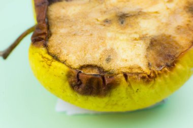 Rotten and Moldy apple fruit. Bad conditions of preservation. Close up, Spoiled  food. Fungus illness. clipart