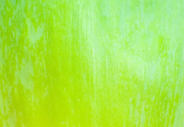 Zelený List Zblízka Čerstvé Listy Textury Pozadí Přírodní Eko Tapety — Stock fotografie