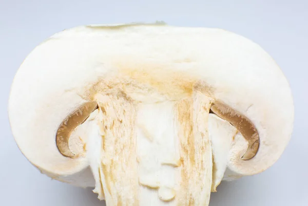 Nahaufnahme Foto Von Champignon Pilzen Auf Weißem Hintergrund Pilz Halbiert — Stockfoto