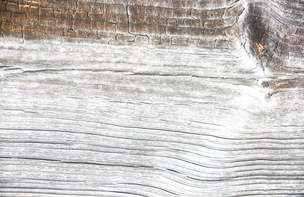 Fundo Madeira Textura Rústica Livre — Fotografia de Stock