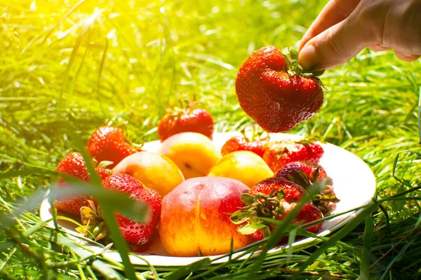 Hombre Tomar Fresas Melocotones Plato Hierba Verde Deliciosas Frescas Frutas — Foto de Stock