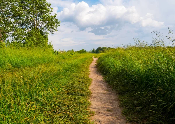 Hermoso Paisaje Verano Campo Con Carretera Campo Hierba Verde Árboles Imagen de stock