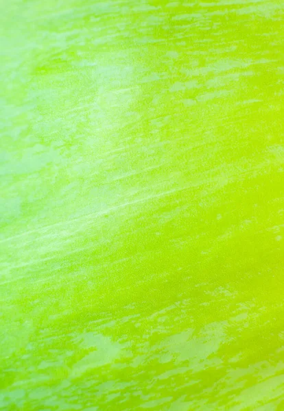 Folha Verde Perto Fundo Textura Folhas Frescas Papel Parede Ecológico — Fotografia de Stock