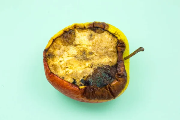Verrot Beschimmeld Appelfruit Slechte Bewaarcondities Sluiten Verwend Eten Schimmelziekte — Stockfoto