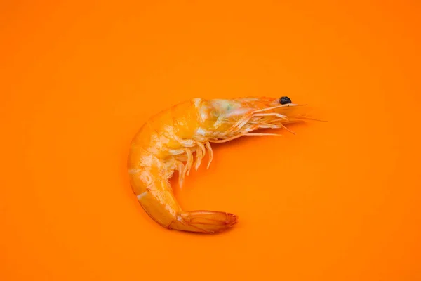 Crevettes Fraîches Savoureuses Crevettes Sur Fond Orange — Photo