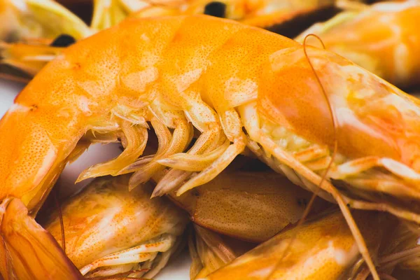 Savoureux Fond Crevettes Orange — Photo