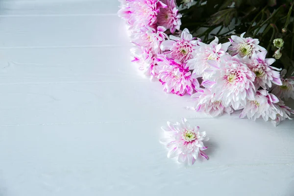 Krásné Květiny Bílém Pozadí Kytice Chryzantémy Dokonalý Byt Šťastná Matčina — Stock fotografie