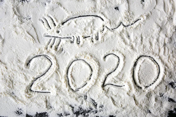 Nowy Rok 2020 Liczby Pomocą Myszy Śnieżny Humor Uroczysta Koncepcja — Zdjęcie stockowe