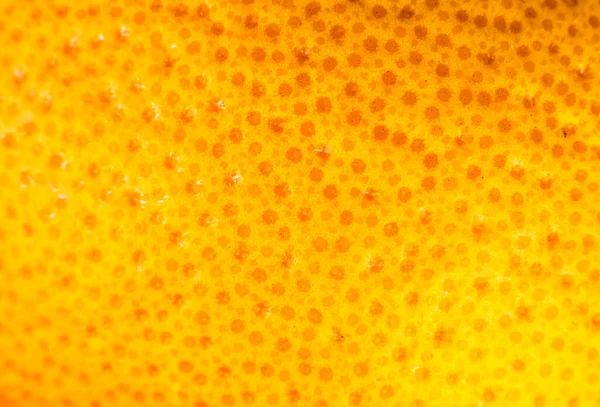 Nahaufnahme Von Grapefruitschalen Textur Exotische Reife Früchte Orangefarbener Hintergrund Makroansicht — Stockfoto